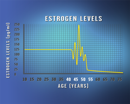 Estrogen Levels